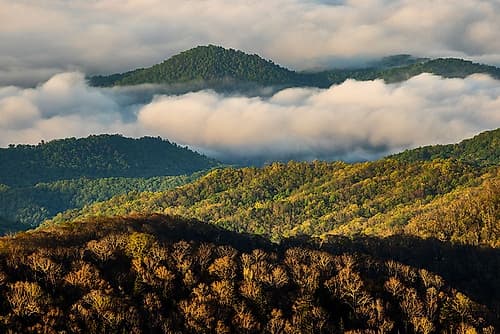 Early morning spring mountains and mist-from Clingmans Dome area-Great Smoky Mountains NP-NC Art Print